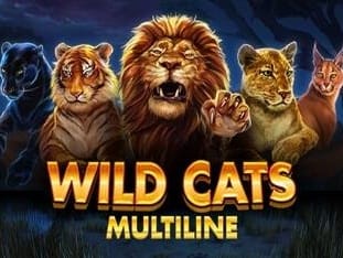 Wild Cats Multiline